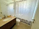 13.webp