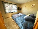 17.webp