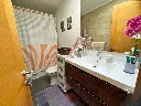 11.webp
